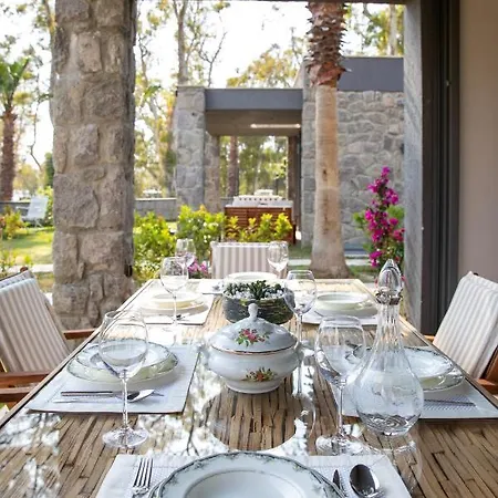 Ares Yalikavak Villa *